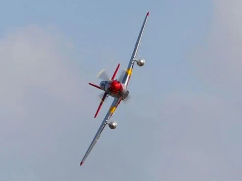 P-51D V8 Red Tail 1450mm PNP 10 P-51D V8 Red Tail 1450mm PNP - Image 8