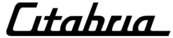 Citabria Decal