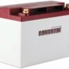 Concorde RG-25 Recombinant Gas Sealed Lead Acid Battery, 12V