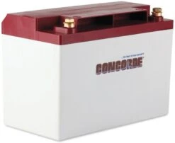 Concorde RG-25 Recombinant Gas Sealed Lead Acid Battery, 12V
