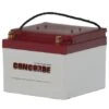Concorde RG-24-11 Recombinant Gas Sealed Lead Acid Battery, 24V -Best Toy Car rg24 11