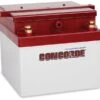 Concorde RG-24-11M Recombinant Gas Sealed Lead Acid Battery, 24V