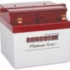 Concorde RG-24-15M Recombinant Gas Sealed Lead Acid Battery, 24V -Best Toy Car rg24 15m